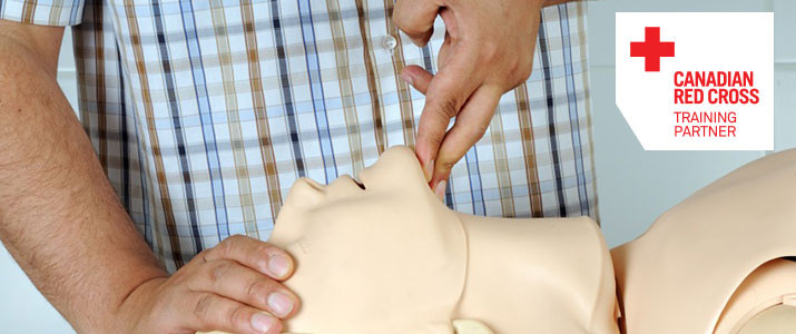 Windsor/Essex CPR & First Aid Training | 3200 Deziel Dr #415, Windsor, ON N8W 5K8, Canada | Phone: (226) 674-4909