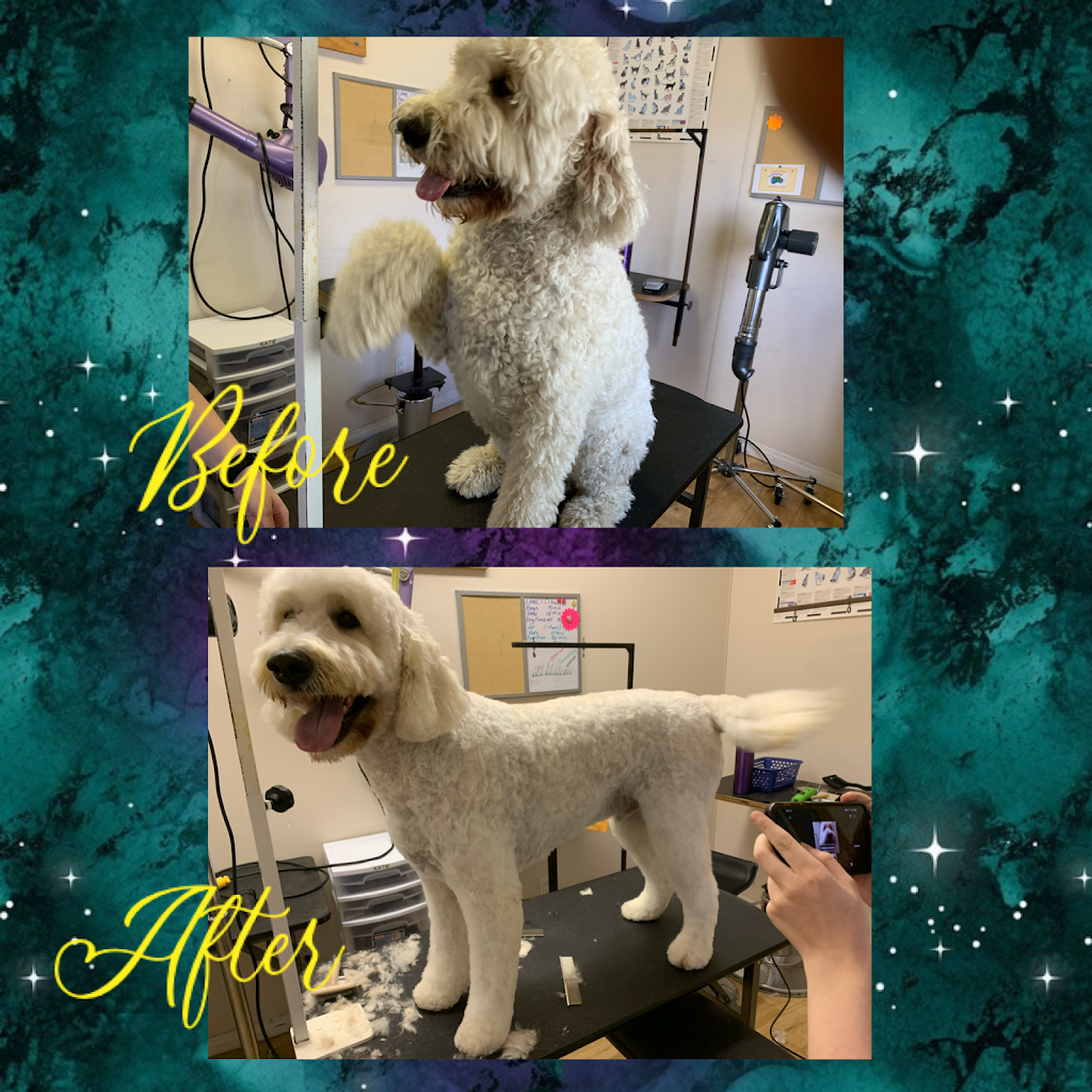 The Dogs Paw | 1423 Brunette Ave #207, Coquitlam, BC V3K 7A2, Canada | Phone: (778) 879-7694