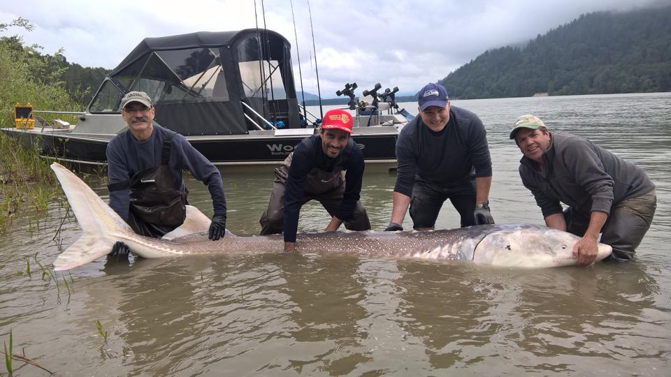 Prestige Sportfishing | 1, Kilby Road, Harrison Mills, BC V0M 1L0, Canada | Phone: (604) 796-5560