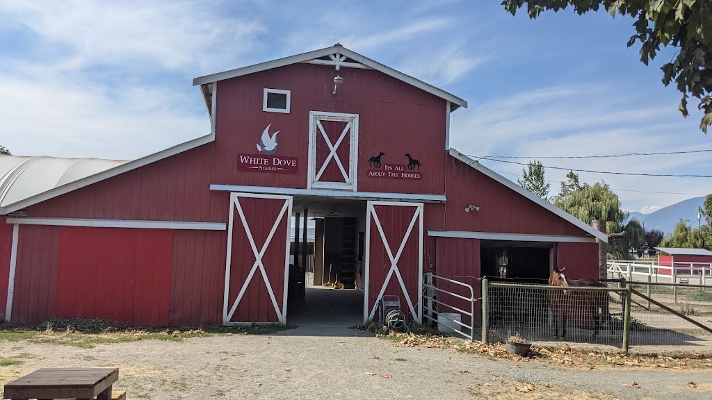White Dove Stables | 5285 Hopedale Rd, Chilliwack, BC V2R 4P9, Canada | Phone: (604) 832-0189