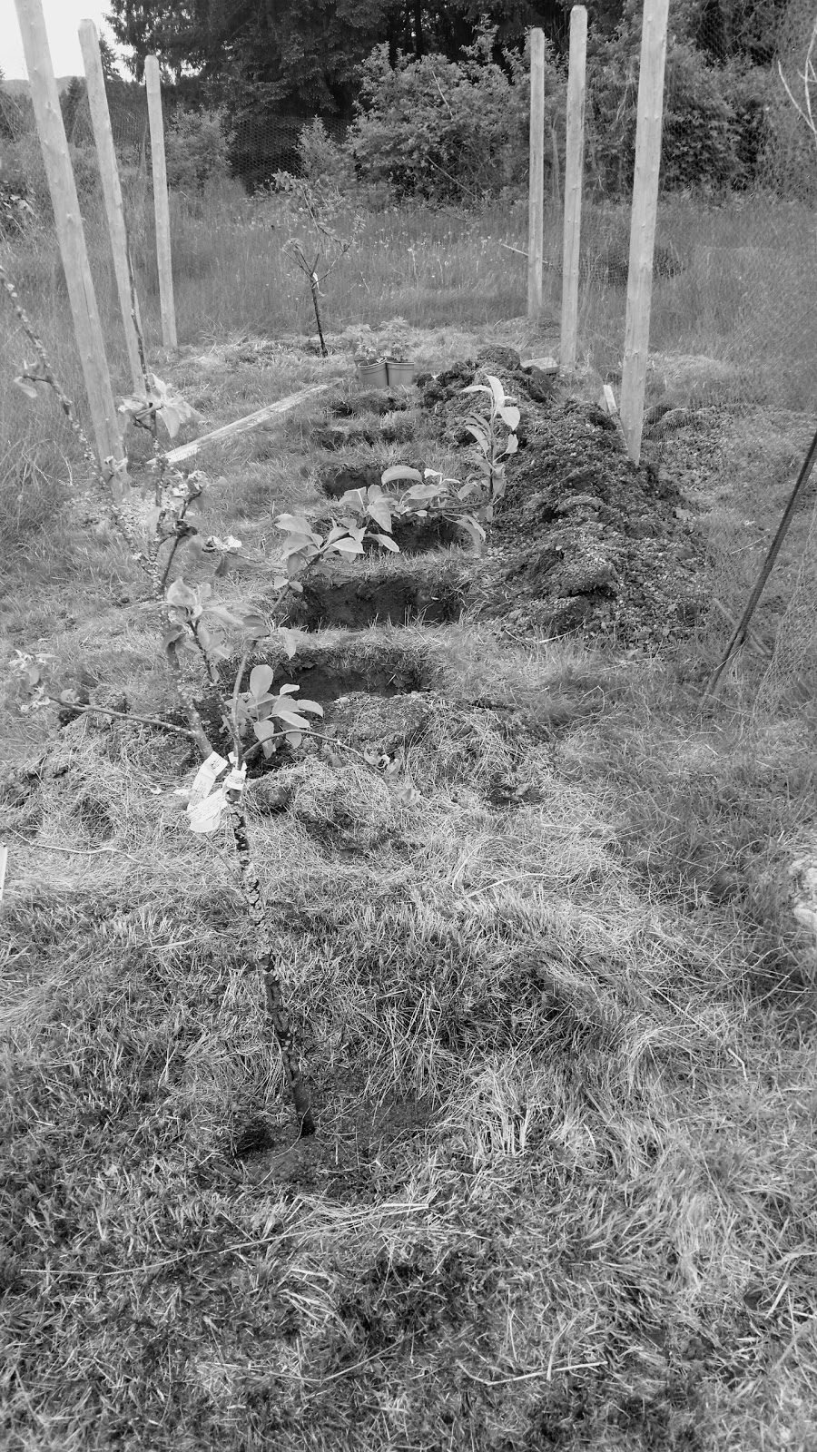 Grave yard | 6494 Somenos Rd #6454, Duncan, BC V9L, Canada