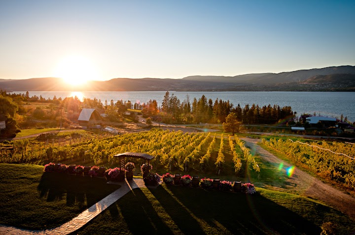 Summerhill Pyramid Winery | 4870 Chute Lake Rd, Kelowna, BC V1W 4M3, Canada | Phone: (250) 764-8000