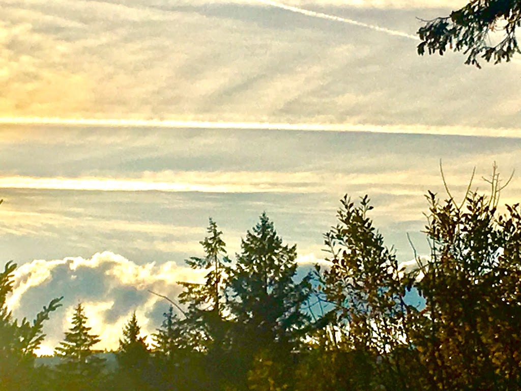Ryan Road Park | 270 Ryan Rd, Nanaimo, BC V9R 6X8, Canada | Phone: (250) 754-4251