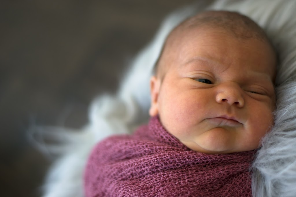 The Doula Tree | 127 St James St S, Waterford, ON N0E 1Y0, Canada | Phone: (905) 869-2069