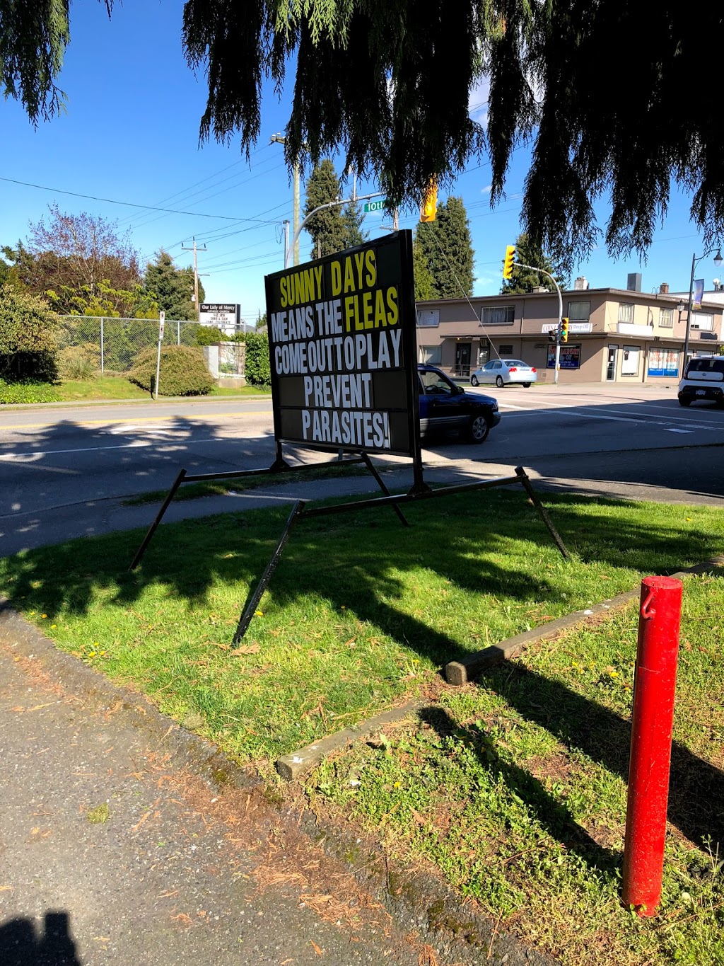 Care Pet Wellness Group | 7877 Kingsway, Burnaby, BC V3N 3E4, Canada | Phone: (604) 521-0781