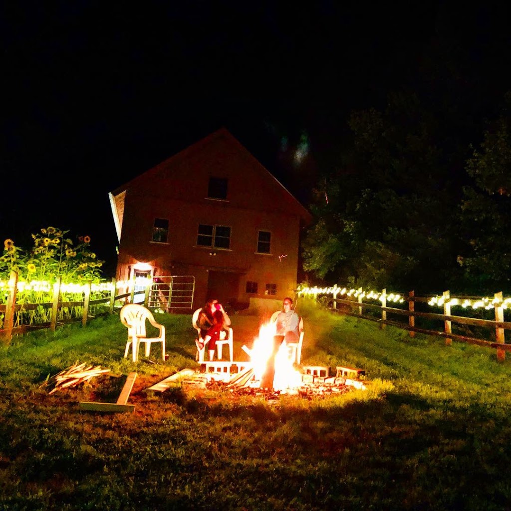 Wooly Buggah Barn | 182 Center Pond Rd, West Burke, VT 05871, USA | Phone: (802) 535-2200