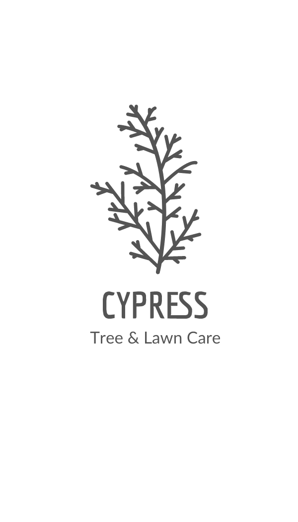 Cypress Tree & Lawn Care | 1024 2 St E, Prince Albert, SK S6V 0G7, Canada | Phone: (306) 999-2230