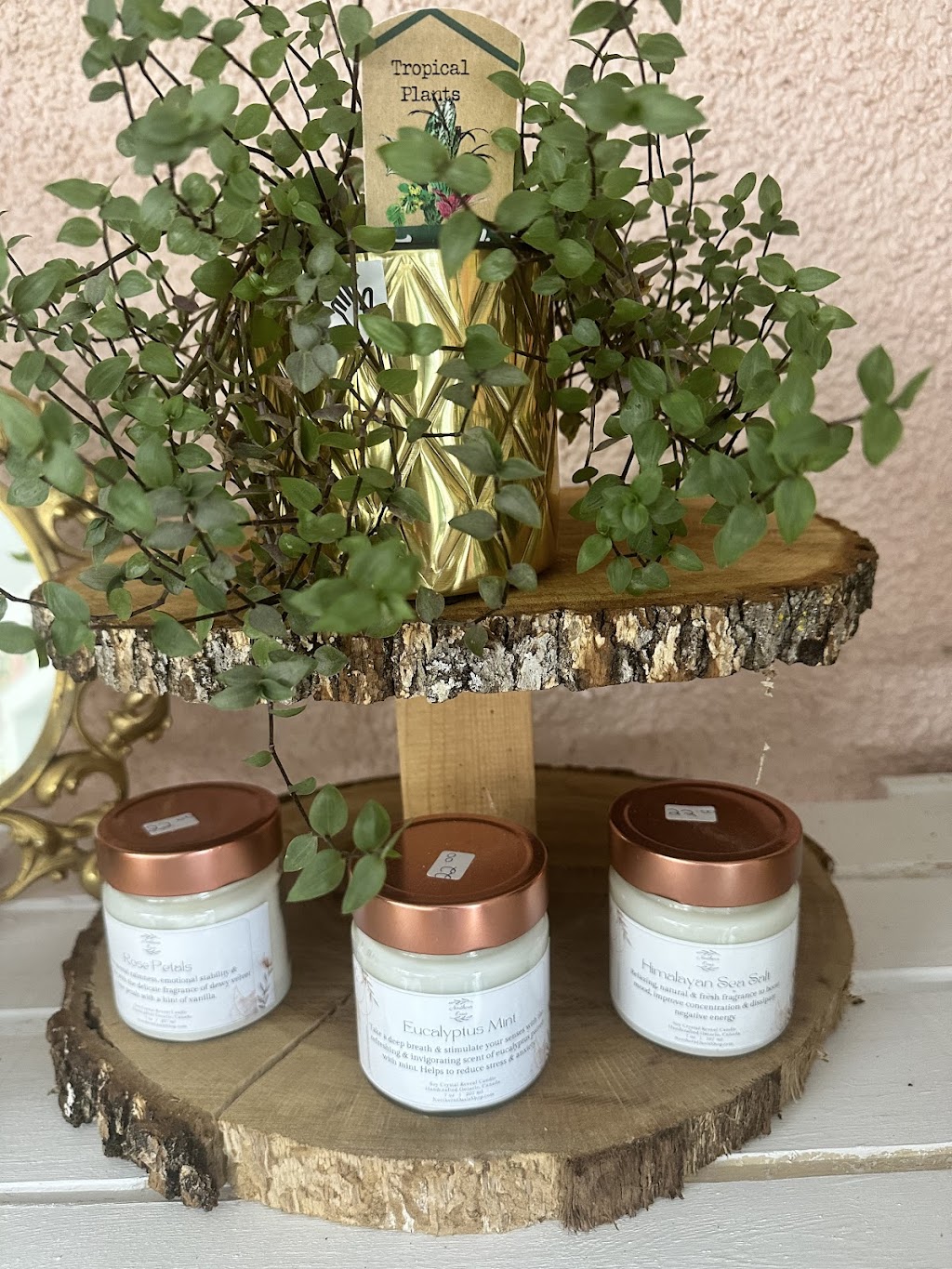 Bloom wildly flowers and gifts | 3770 Selkirk Ave, Powell River, BC V8A 3C1, Canada | Phone: (604) 489-3384