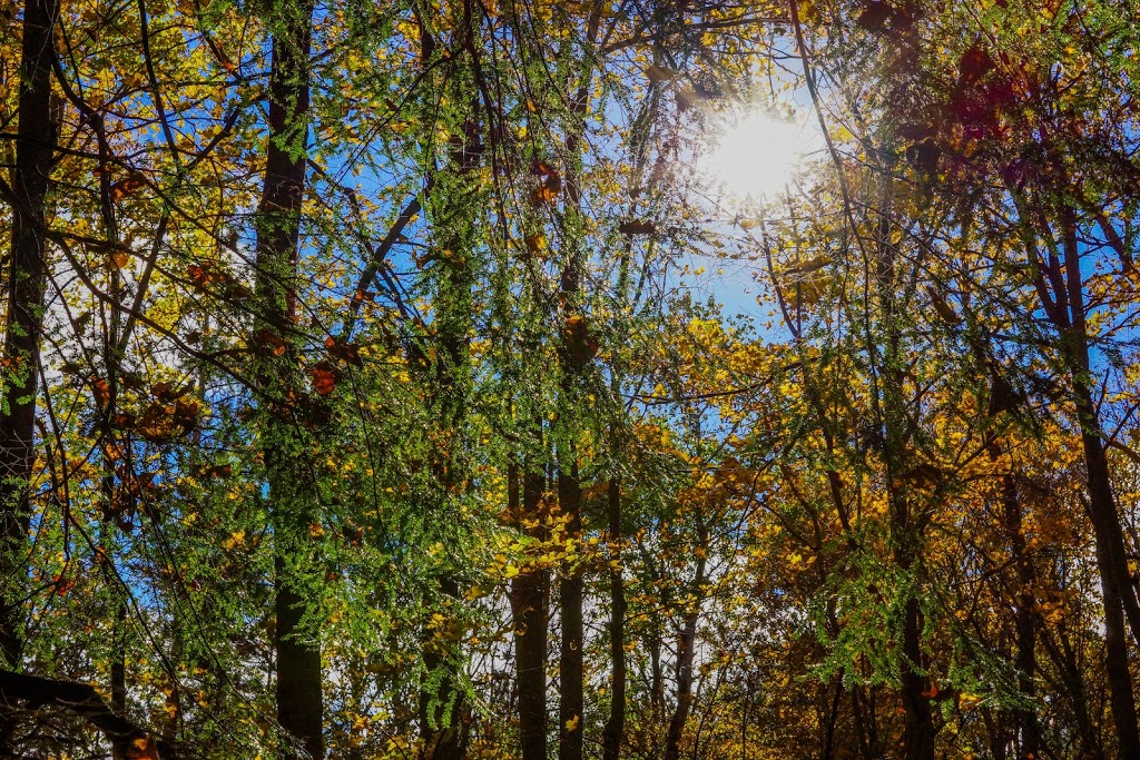 Long Sault Conservation Area | Long Sault Conservation Area, 9293 Woodley Rd, Bowmanville, ON L1C 3K6, Canada | Phone: (905) 579-0411