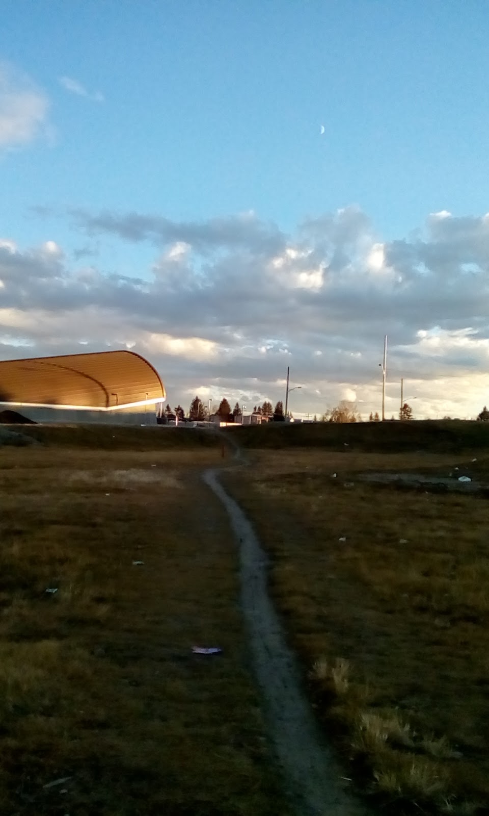 Brendas House | 1921 28 St SW, Calgary, AB T3E 2H1, Canada | Phone: (403) 242-8575
