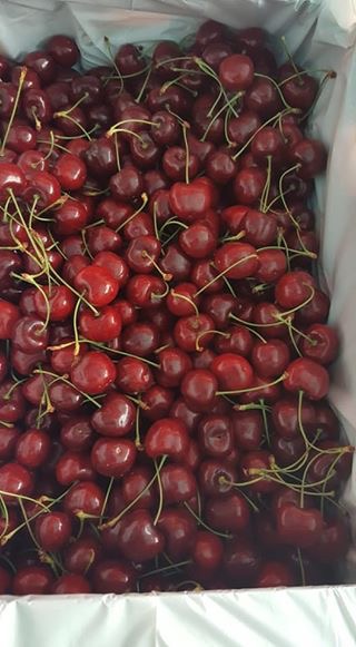 Valley Produce | 32031 Joyce Ave, Abbotsford, BC V2T 1B6, Canada | Phone: (604) 866-1859