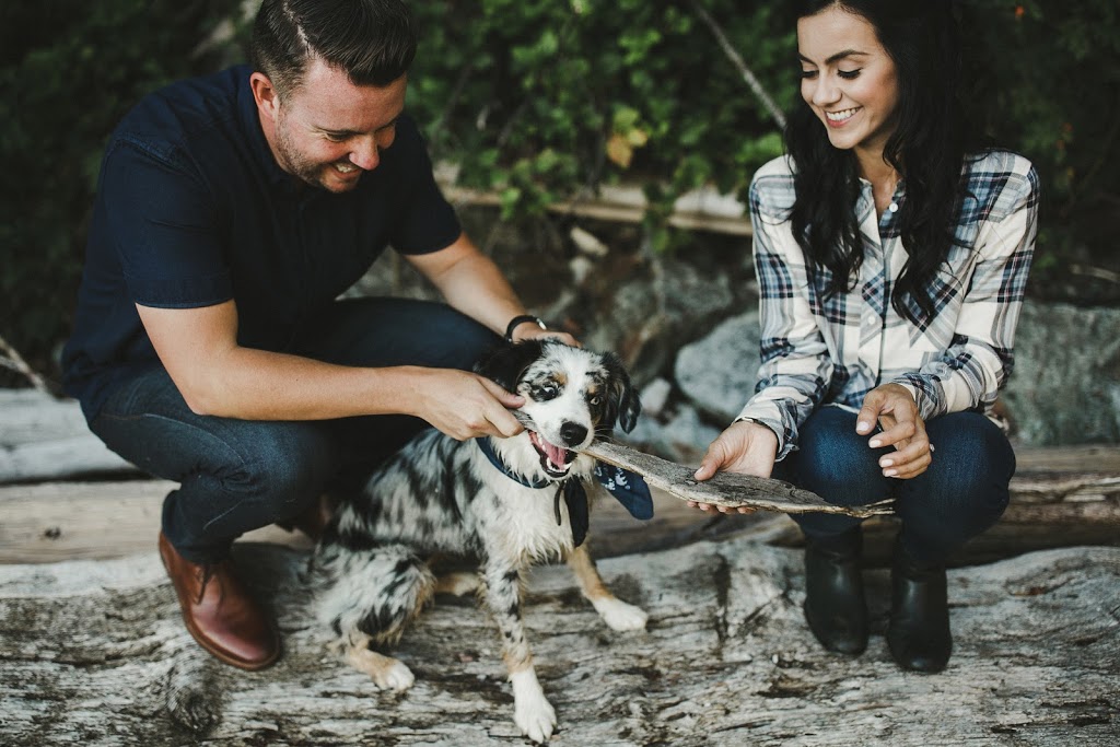 Outpost Raw Dog Food | 24333 12 Ave Unit: Barn, Langley Twp, BC V2Z 1L2, Canada | Phone: (778) 766-3647