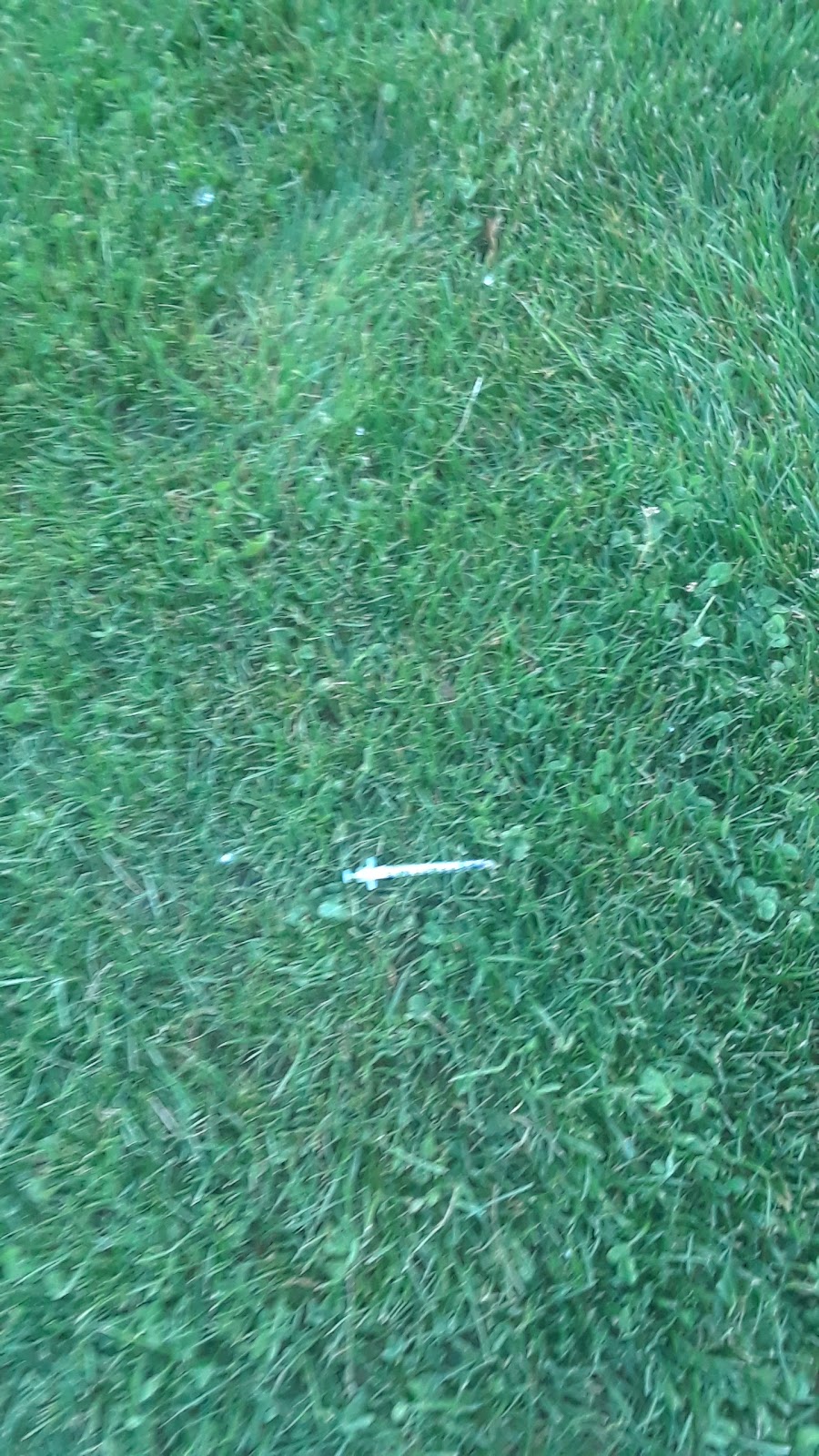 Shallow Creek Park | Brantford, ON N3S, Canada