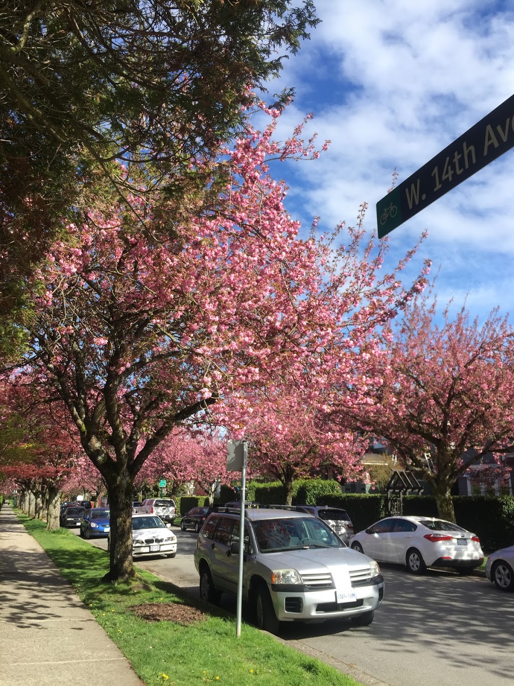 Simon Fraser Elementary School | 100 W 15th Ave, Vancouver, BC V5Y 3B7, Canada | Phone: (604) 713-4946