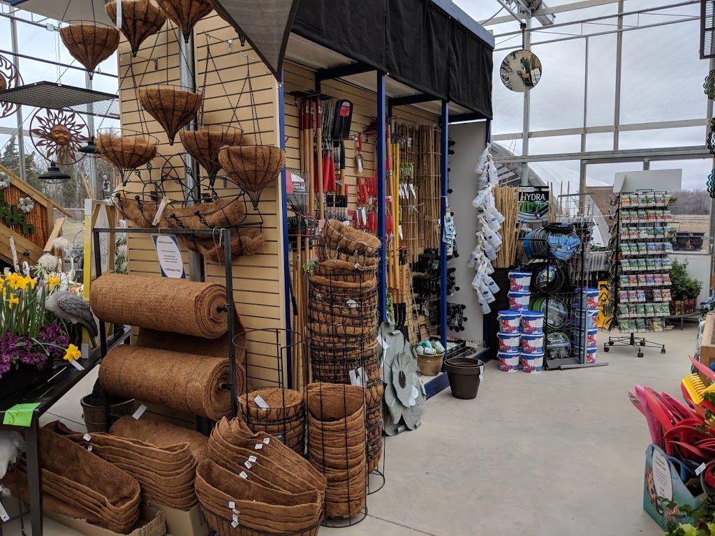 Royal City Nursery | 6838 Wellington Rd 124, Guelph, ON N1H 6J4, Canada | Phone: (519) 824-4998