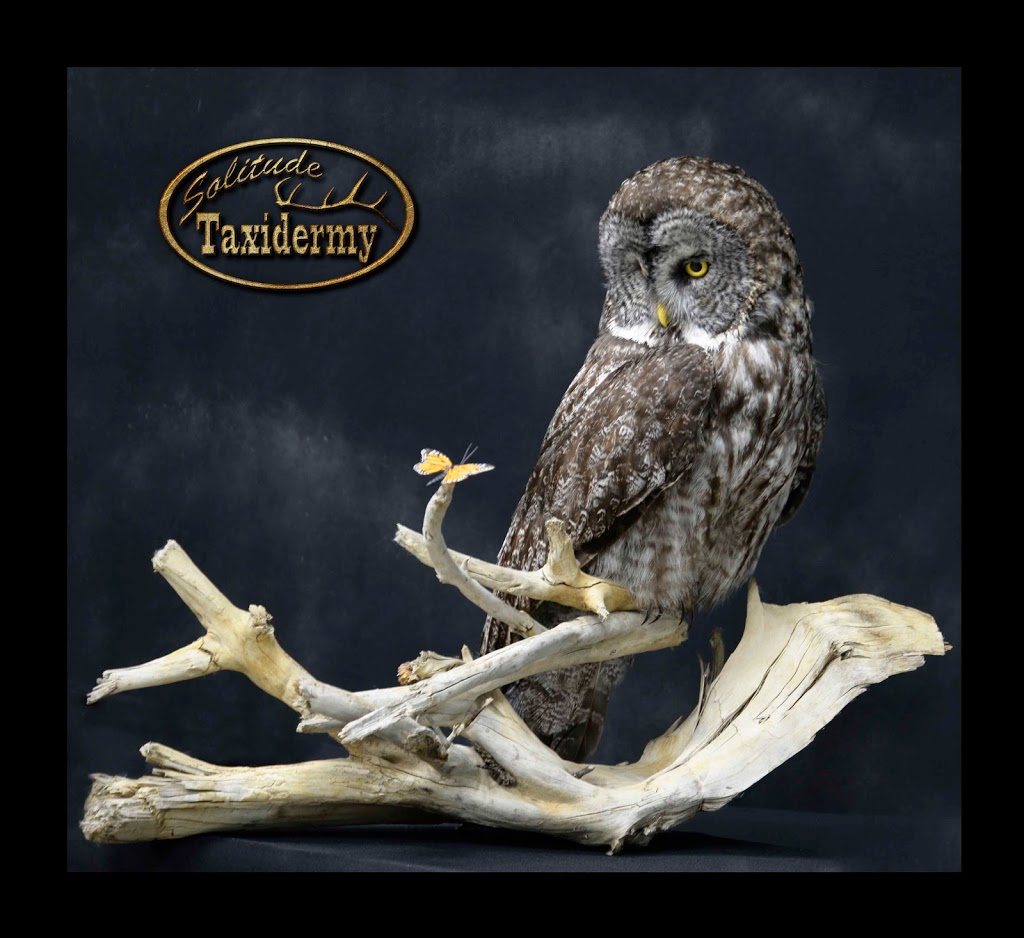 Solitude Taxidermy | 53314 Range Rd 272, Parkland County, AB T7X 3B2, Canada | Phone: (780) 690-6911