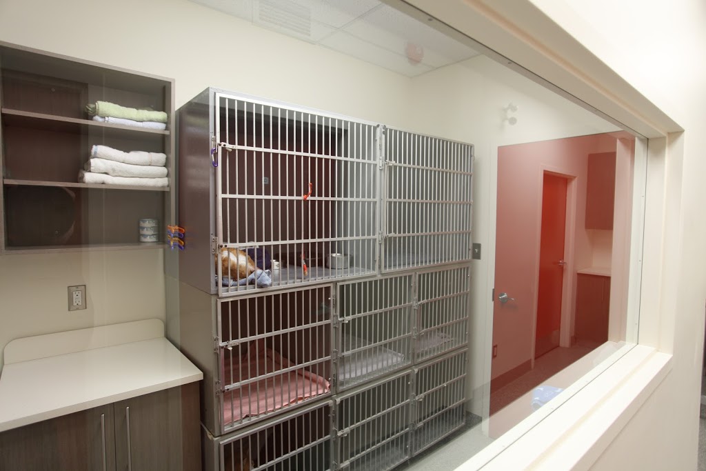 Cimon Veterinary Clinic | 565 Boulevard Wilfrid-Hamel, Québec, QC G1M 3H9, Canada | Phone: (418) 688-4106