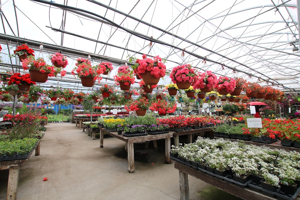 Fl;euriste et Centre de jardin Terre Nature Inc | 4515 Boulevard Saint-Joseph, Drummondville, QC J2A 1A9, Canada | Phone: (819) 479-0837