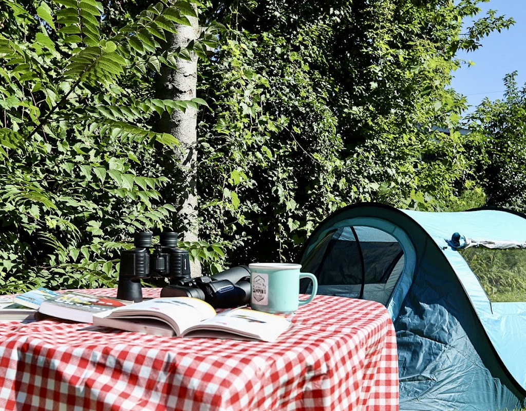 Carefree Camping Rentals | 279 Gill St, Orillia, ON L3V 4K3, Canada | Phone: (705) 826-1075