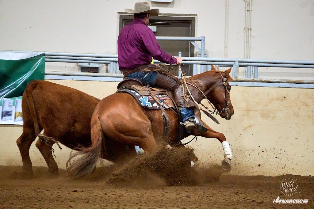 Douglas Performance Horses | QMJC+93, Yellow Grass, SK S0G 5J0, Canada | Phone: (306) 731-7868