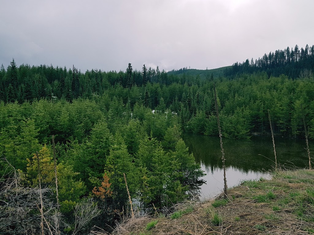 Hartwick Park | 1468 Lambert Ave, Kelowna, BC V1Y 7H6, Canada
