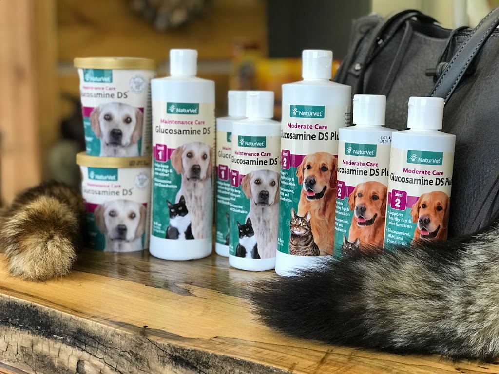Animal Kingdom Pet Specialty Shop | 286 Main St S, Mount Forest, ON N0G 2L0, Canada | Phone: (519) 509-9477