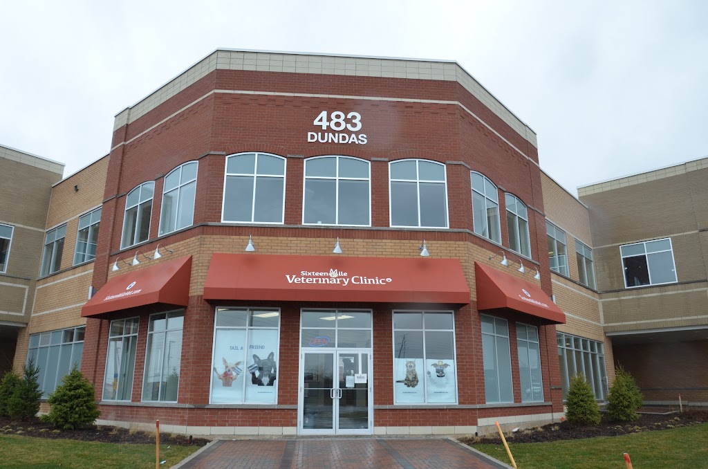 Sixteen Mile Veterinary Clinic | 483 Dundas St W, Oakville, ON L6M 1L9, Canada | Phone: (289) 725-9988