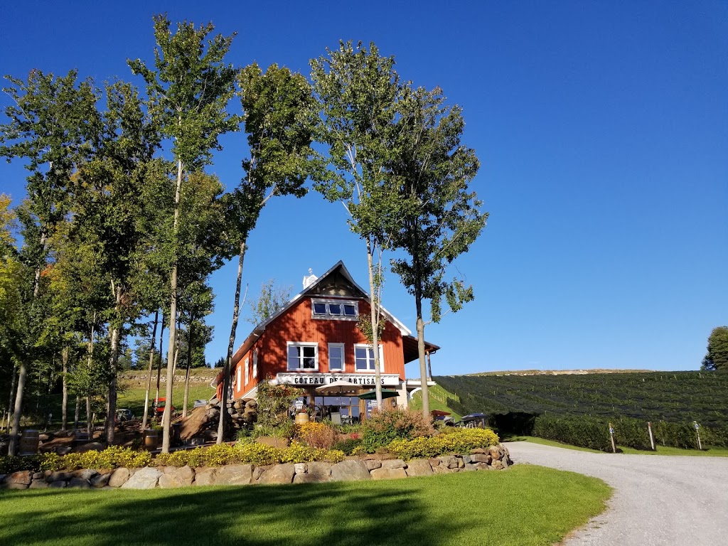 Vignoble Coteau des Artisans | 1680 Chemin de Béthanie, Béthanie, QC J0H 1E1, Canada | Phone: (450) 548-8467