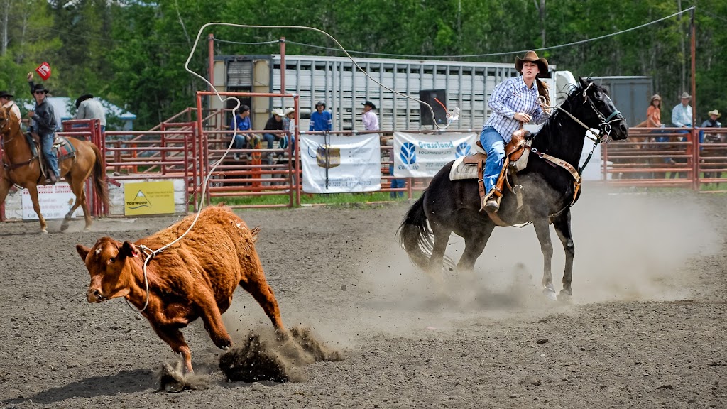 David Thielen Photographic Artistry | 204 Main St, Milk River, AB T0K 1M0, Canada | Phone: (403) 795-8677