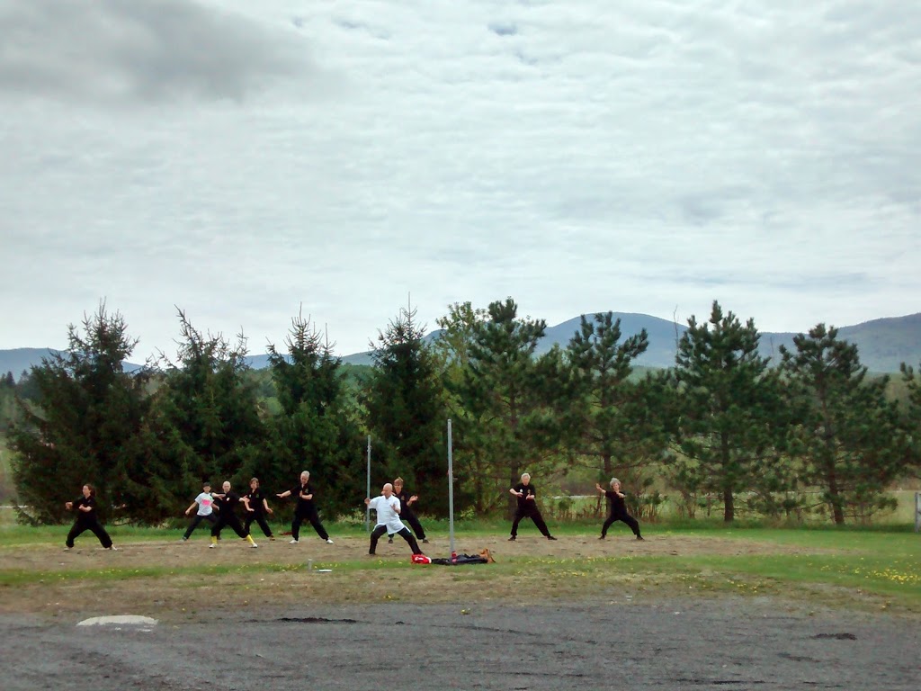 Shaolin wuji centre | 333 Chemin de la Falaise, Sutton, QC J0E 2K0, Canada | Phone: (579) 488-4007