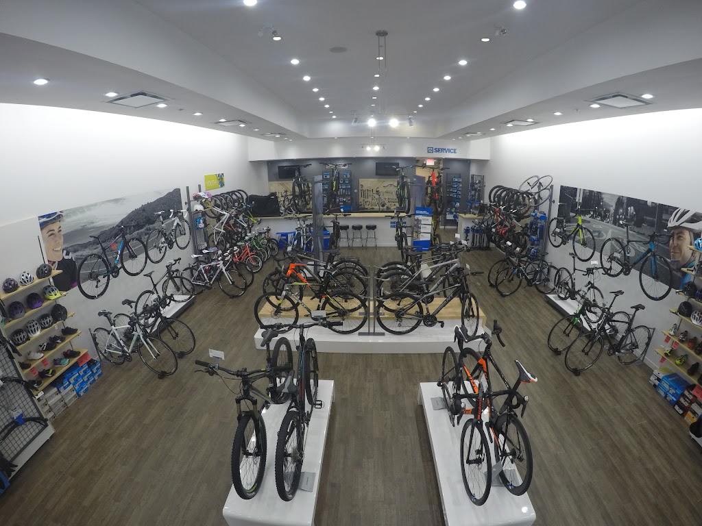 Giant White Rock | 60-16041 24 Ave, Surrey, BC V3S 9H7, Canada | Phone: (604) 536-3436