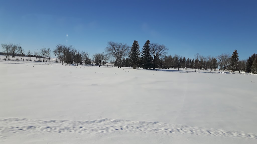 Westside Trailer Court | 2715 Westside Dr W, Lethbridge, AB T1J 4N1, Canada | Phone: (403) 381-6711