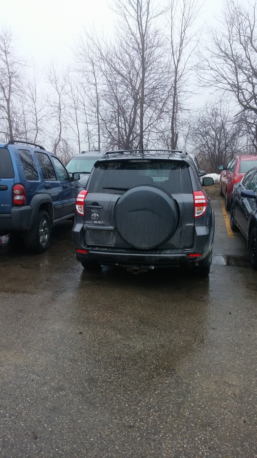 Roadstar Emission Testing | 11 Malcolm Rd, Guelph, ON N1K 1A7, Canada | Phone: (519) 823-0056