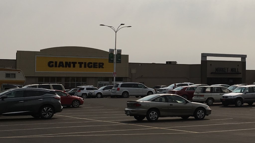 Giant Tiger | clothing store | 810 Circle Dr E, Saskatoon, SK S7K 3T8, Canada | 3069563908 OR +1 306-956-3908