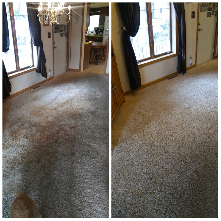 Black River Steam Restoration | 1426 White St, Port Huron, MI 48060, USA | Phone: (810) 956-5326