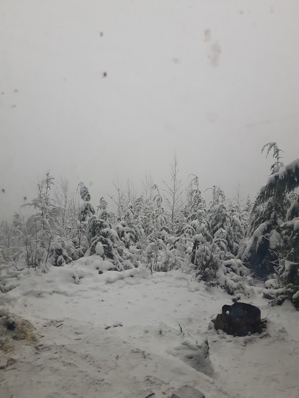 Cabin At Dewdney Grind. | Dewdney Grind, Fraser Valley G, BC V2V 7K6, Canada