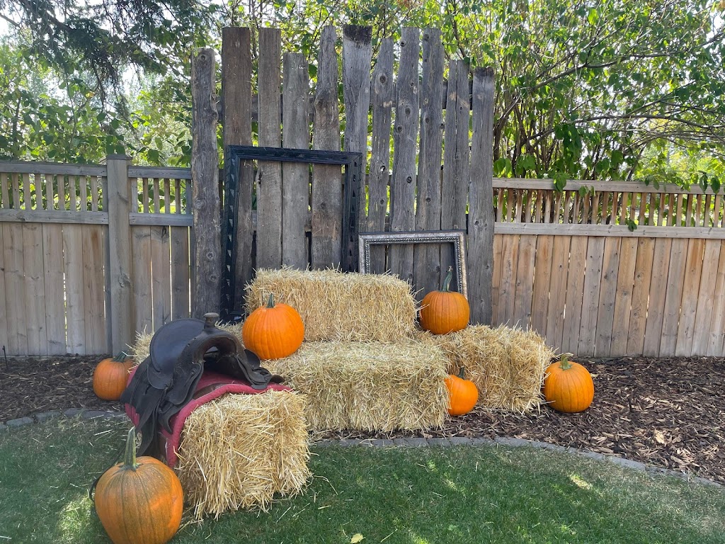 Simply Western & Christmas Decor Rentals | 226163 64 St W, De Winton, AB T1S 0R7, Canada | Phone: (403) 389-3590