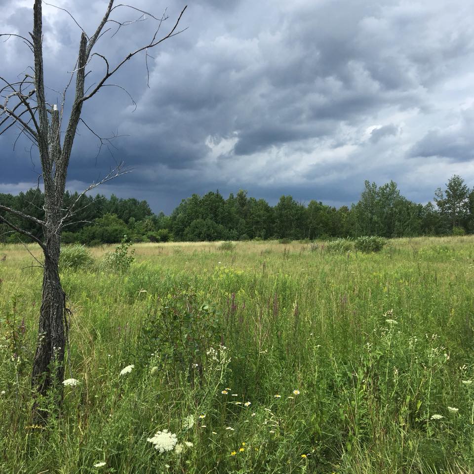 Earth Path | 2391 Pépin Ct, Gloucester, ON K1B 4Z3, Canada | Phone: (613) 858-8822