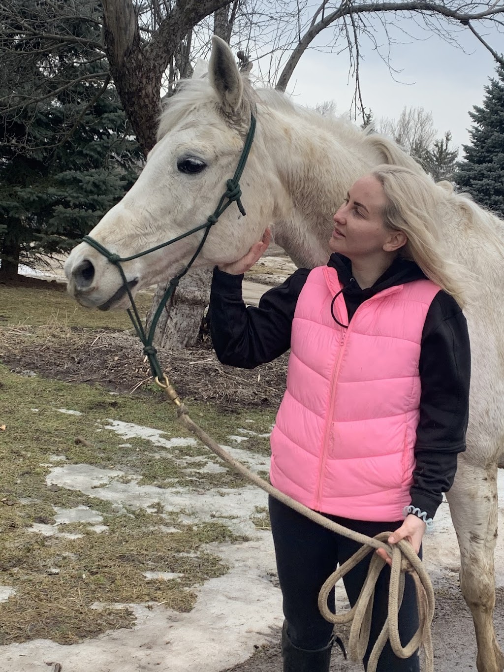 Bridlewood Equestrian | 8735 Milburough Town Line, Milton, ON L0P 1B0, Canada | Phone: (905) 407-0827