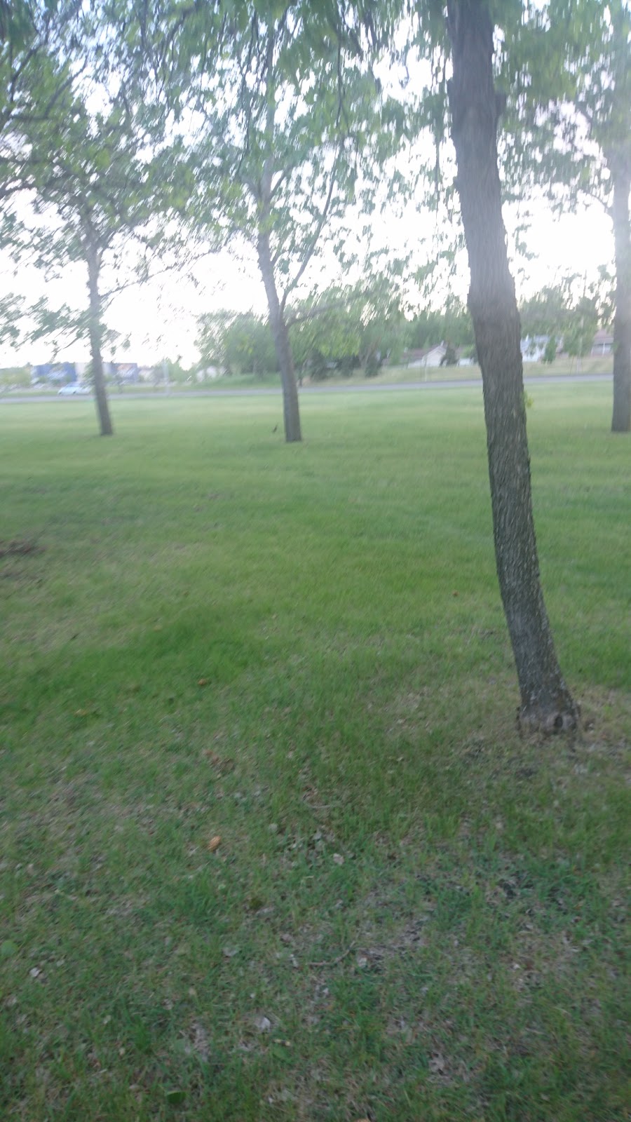 Firehall Park | Rink Ave, Regina, SK S4R, Canada