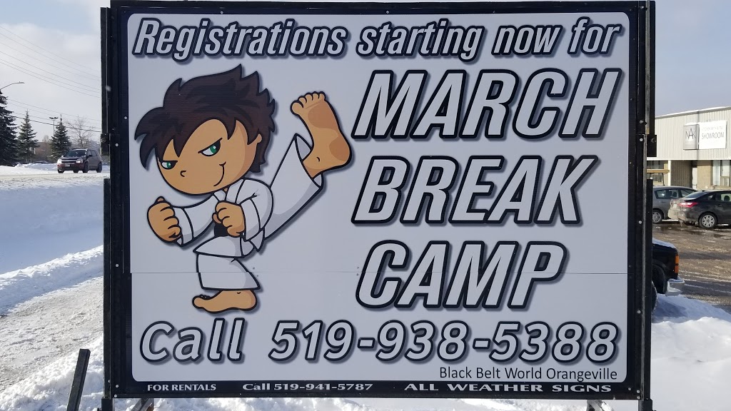 Black Belt World Orangeville | 25 Centennial Rd, Orangeville, ON L9W 1R1, Canada | Phone: (519) 938-5388