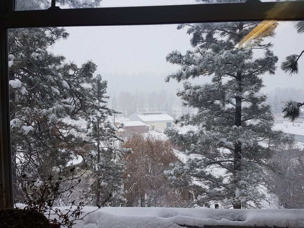 Deerview Lodge & Cabins | 398 BC-3, Princeton, BC V0X 1W0, Canada | Phone: (250) 295-0106