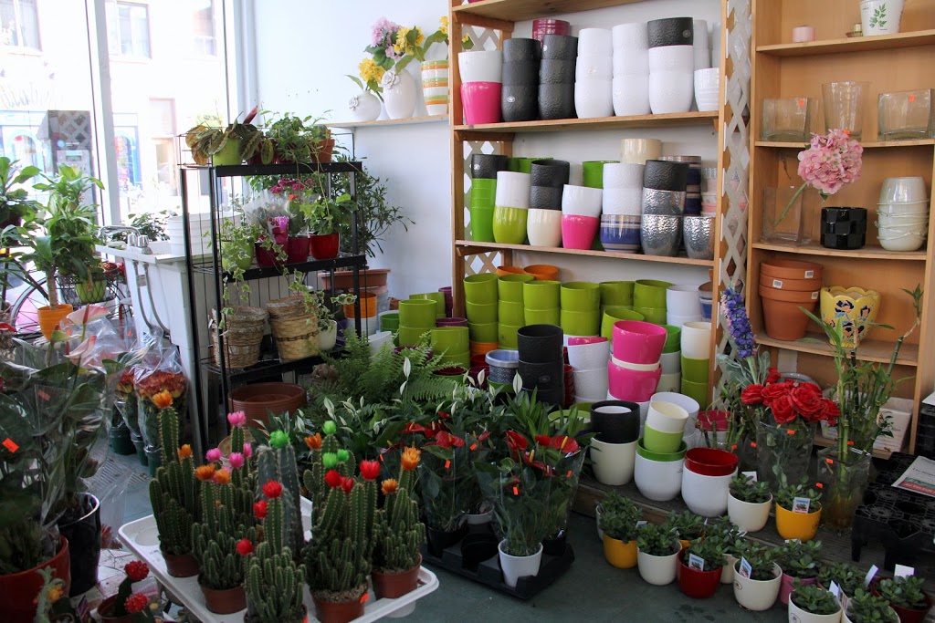 Depanneur Opera | 1391 Avenue du Mont-Royal E, Montréal, QC H2J 1Y8, Canada | Phone: (514) 523-8445