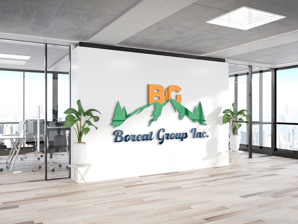 Boreal Group Inc. | 498 Eagle St N Unit 206, Cambridge, ON N3H 1C2, Canada | Phone: (416) 834-6005