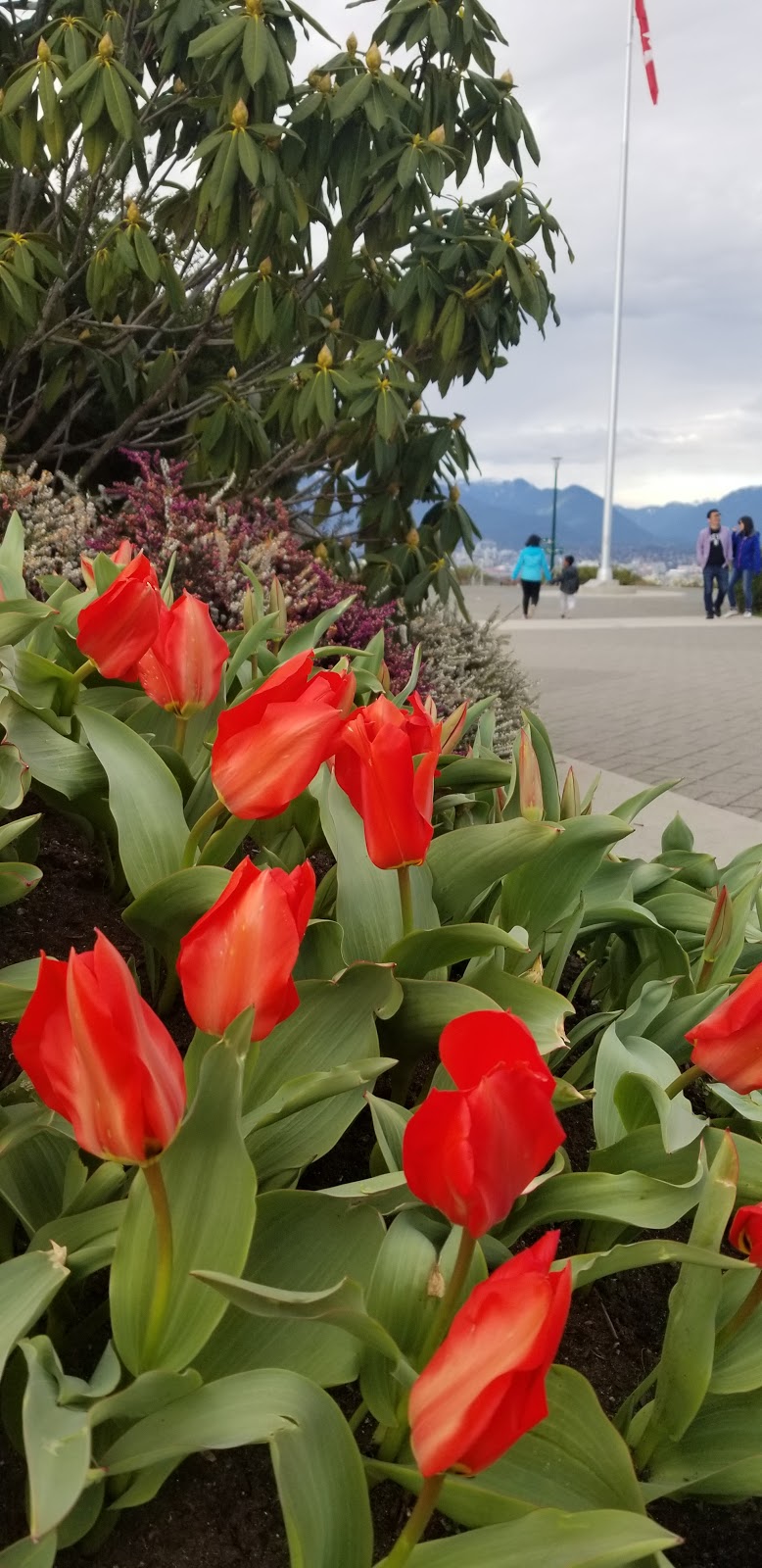 Queen Elizabeth Park Plaza | 4600 Cambie St, Vancouver, BC V5Y 2M4, Canada | Phone: (604) 873-7000