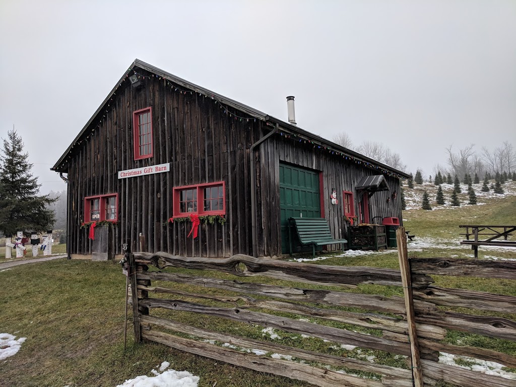 Clembrook Christmas Farm | 4231 Derry Rd W, Milton, ON L9T 2Y1, Canada | Phone: (905) 878-6576
