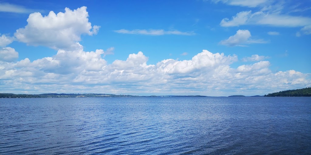 797-BOAT RENTAL & CHIP STOP | 5031 Rice Lake Dr N, Bailieboro, ON K0L 1B0, Canada | Phone: (905) 797-2628