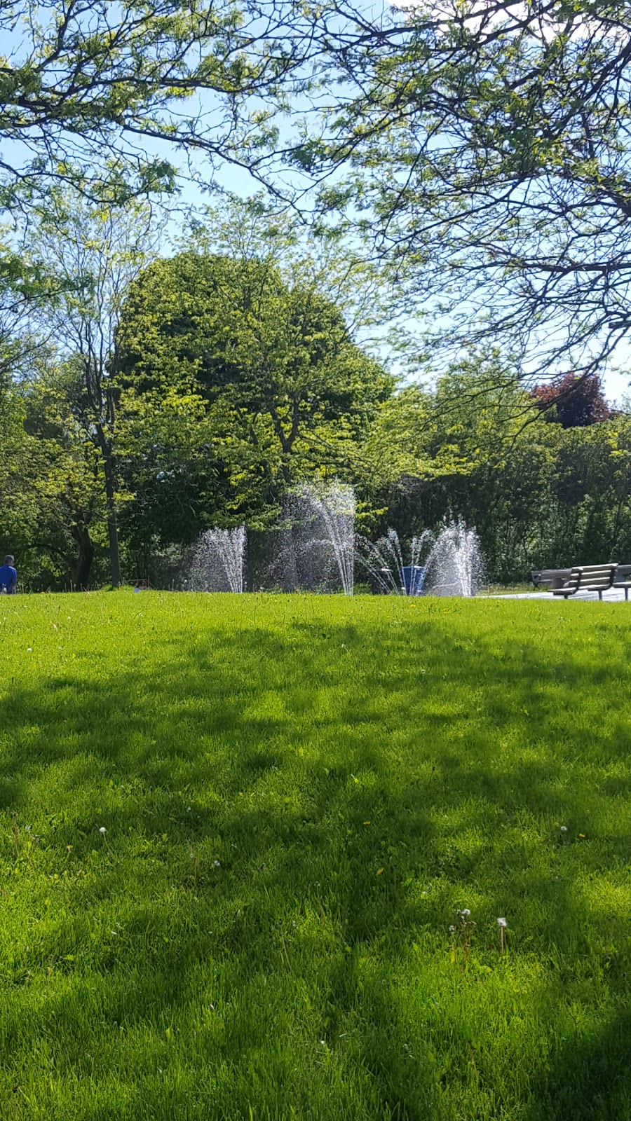 McNicoll Park | 215 McNicoll Ave, North York, ON M2H, Canada | Phone: (416) 338-4386