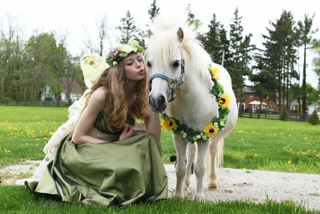 Shenandoah Equestrian Limited | 5503 Blind Line, Burlington, ON L7P 0B1, Canada | Phone: (905) 334-8814