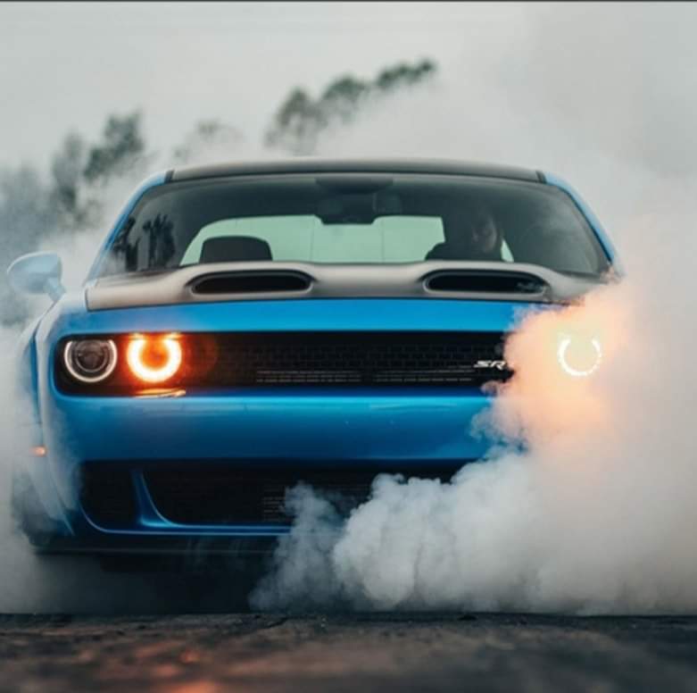 Premium Oil - Synthetic Amsoil Dealer | By appointment only, 202 Thomas Berry St, Winnipeg, MB R2H 0R1, Canada | Phone: (204) 298-5701